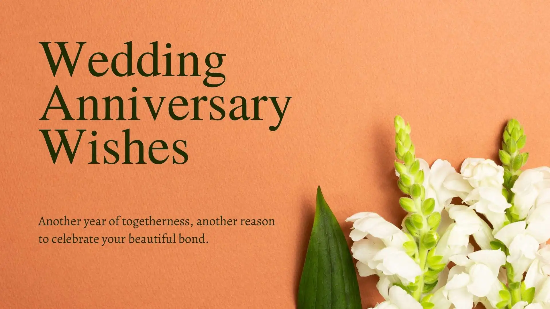 225+ Best Wedding Anniversary Wishes for Him, Her and Soulmates in 2026