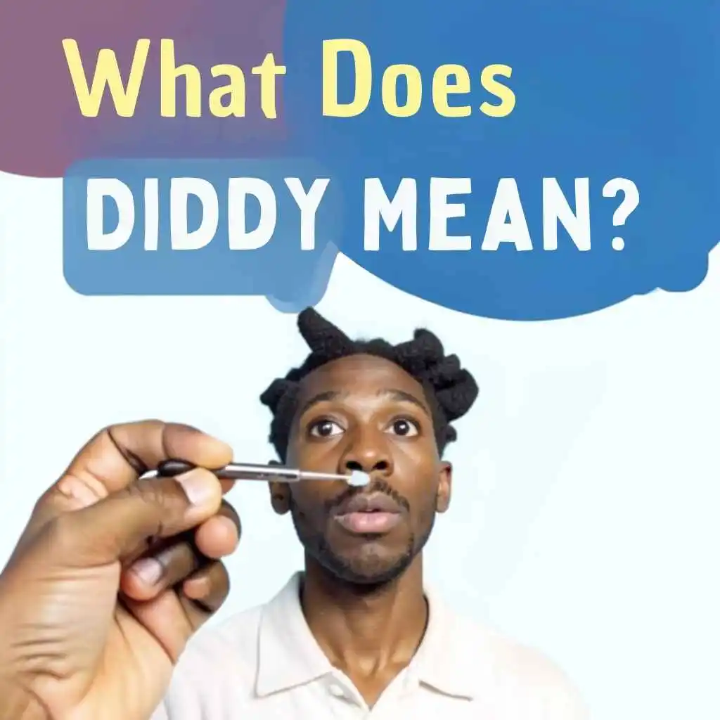 What Does Diddy Mean