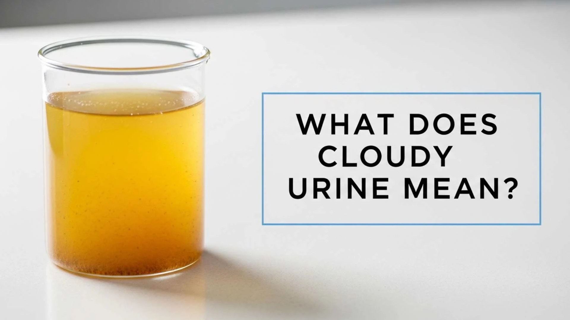 What Does Cloudy Urine Mean? Real Causes, Hidden Health Signals and When You Should Worry