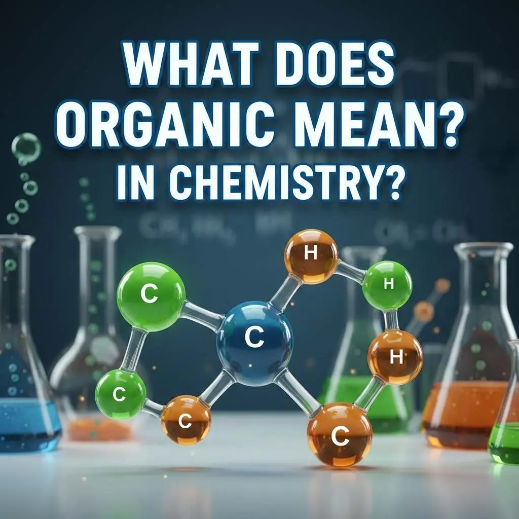 What Does Organic Mean in Chemistry