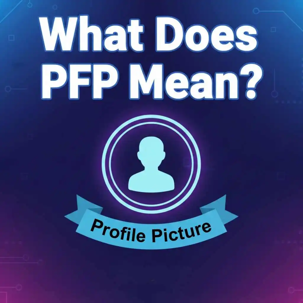 What Does PFP Mean