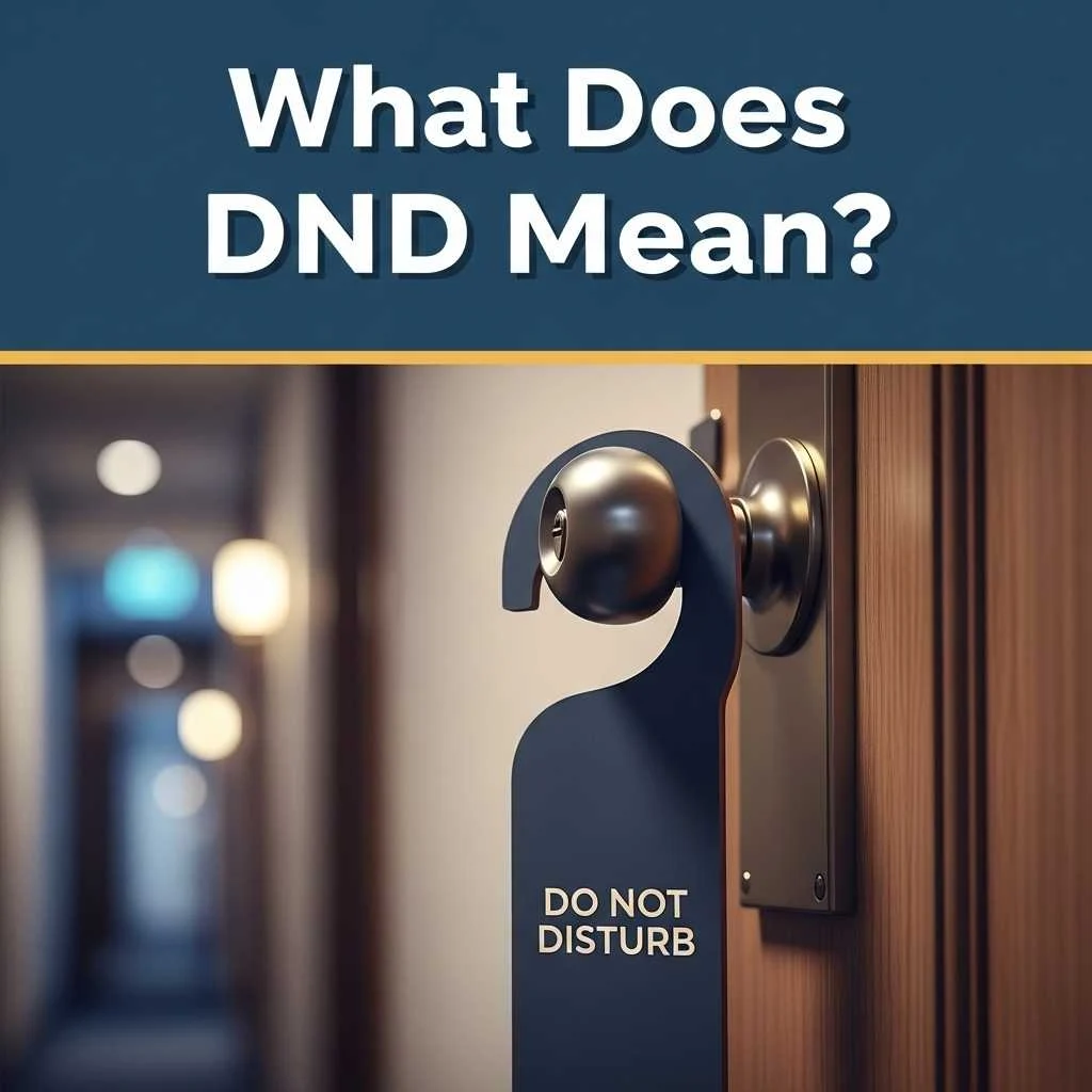 What Does DND Mean
