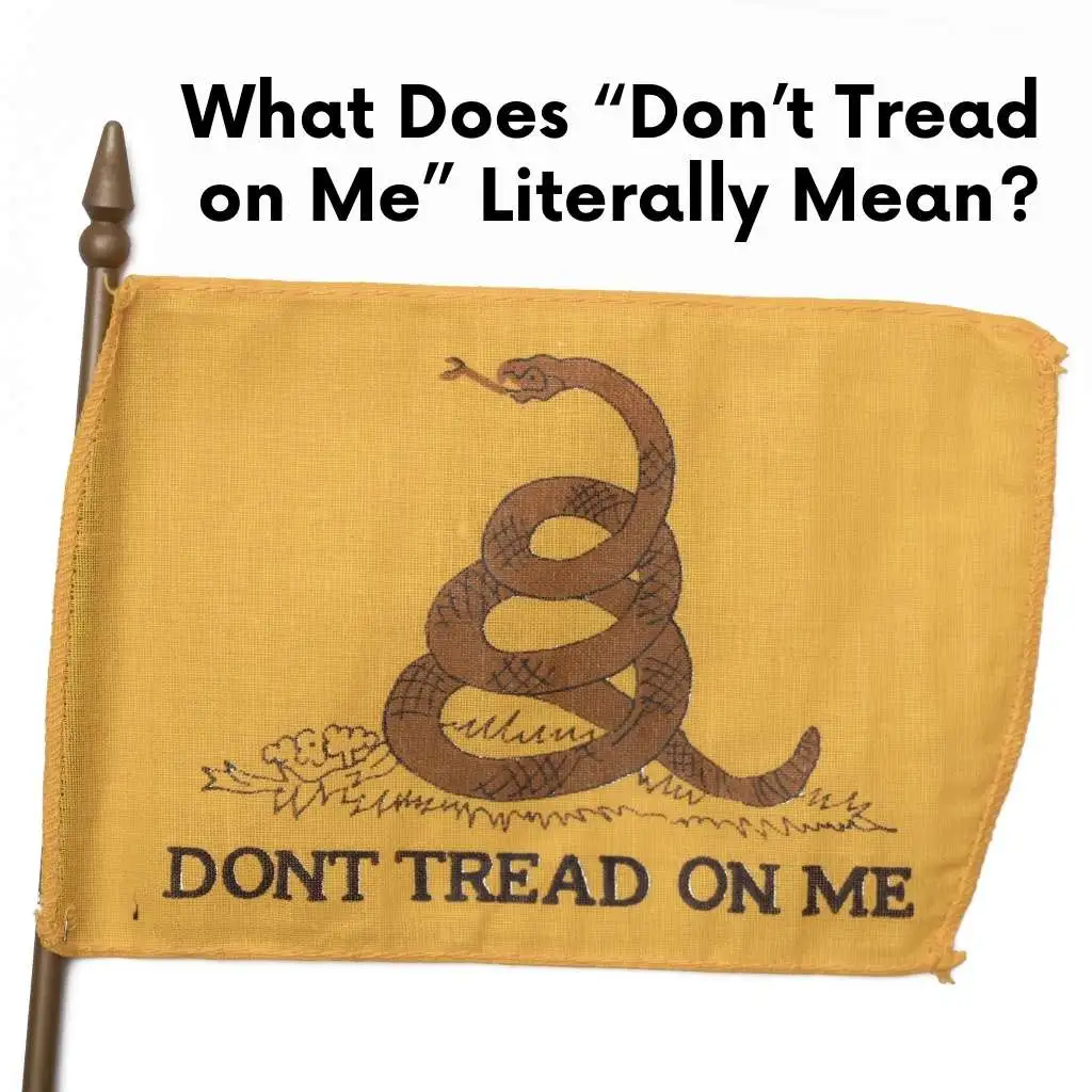 What Does Don’t Tread on Me Literally Mean