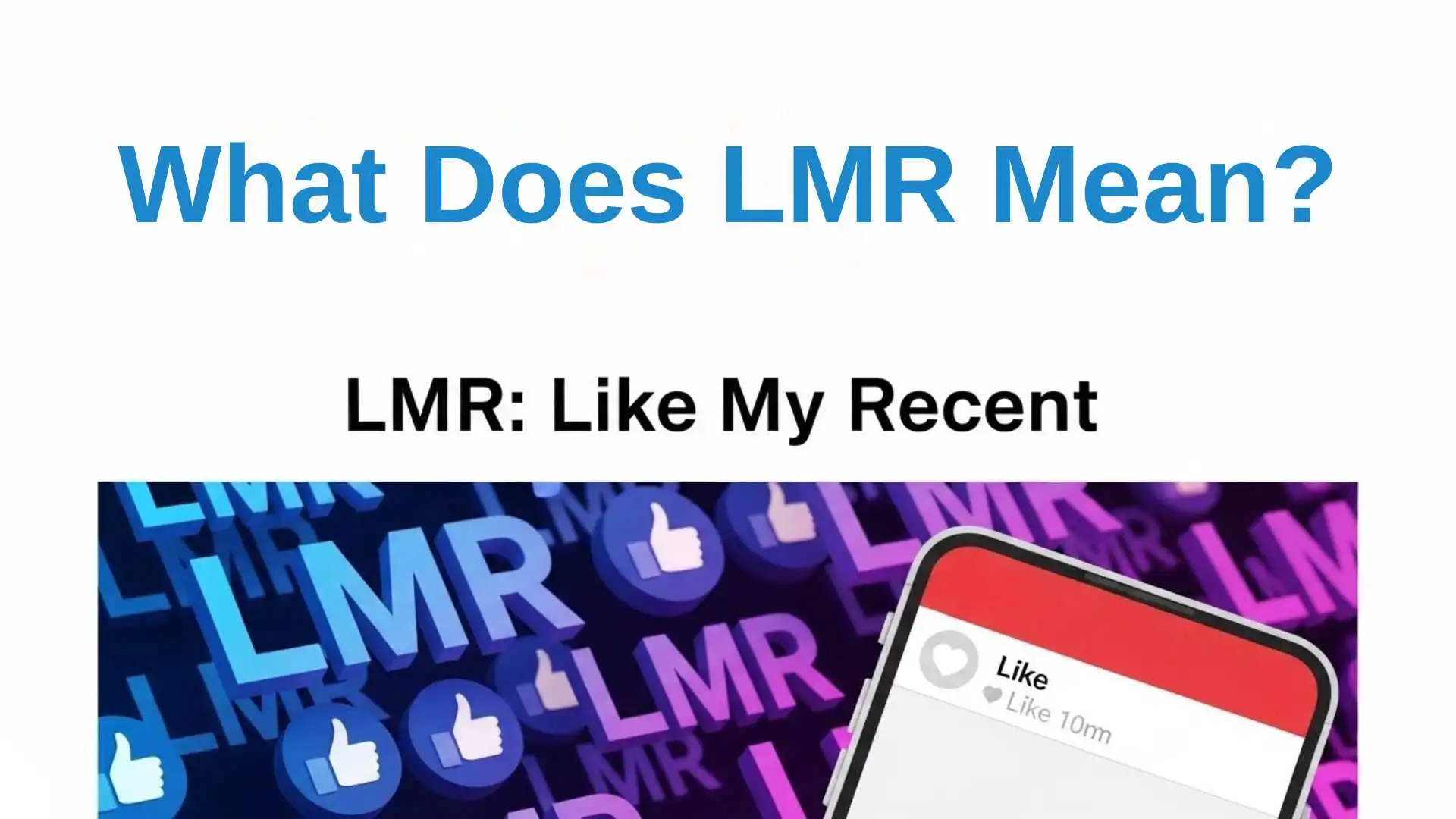 What Does LMR Mean